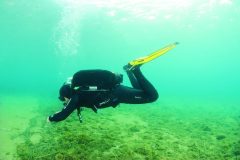 frog1-_wpo4899-1024x683