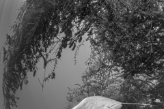 Rang_1_Grossfisch_Elias_Nussbaum_10_C_03_Grossfisch-1