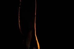 Rang_1_Kreatives_Fabio_Oldani_14_E_Silhouetten-im-Ozean_Kreativ