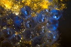 Rang_2_Gesamt_Elias_Nussbaum_Wenn-Leben-ensteht_Klein_und_fein