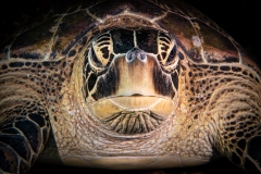 Rang_3_Gesamt_Fabio_Oldani_Weitwinkel_Blick-aus-der-Ewigkeit